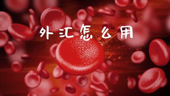 外汇怎么用_https://m.jnlaobingbanjia.com_理财规划_第1张