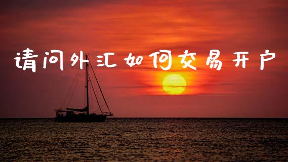 请问外汇如何交易开户_https://m.jnlaobingbanjia.com_全球市场_第1张