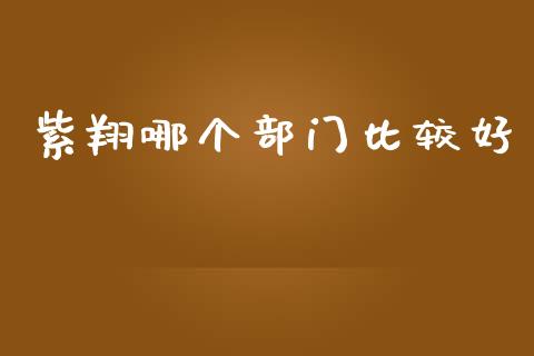 紫翔哪个部门比较好_https://m.jnlaobingbanjia.com_理财规划_第1张