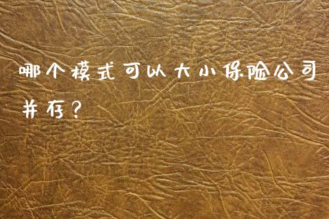 哪个模式可以大小保险公司并存？_https://m.jnlaobingbanjia.com_区块链_第1张