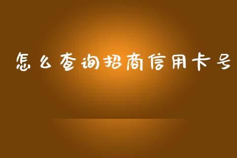 怎么查询招商信用卡号_https://m.jnlaobingbanjia.com_全球市场_第1张