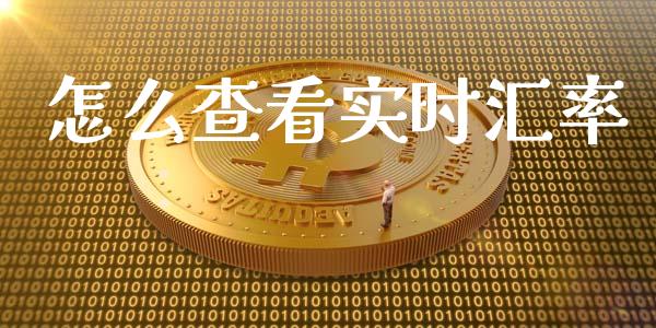 怎么查看实时汇率_https://m.jnlaobingbanjia.com_金融监管_第1张