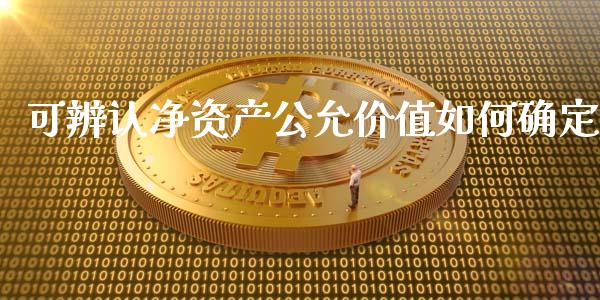 可辨认净资产公允价值如何确定_https://m.jnlaobingbanjia.com_理财规划_第1张