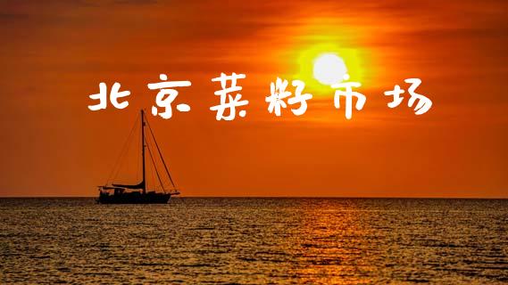 北京菜籽市场_https://m.jnlaobingbanjia.com_金融监管_第1张