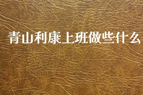 青山利康上班做些什么_https://m.jnlaobingbanjia.com_理财规划_第1张
