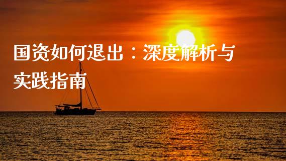 国资如何退出：深度解析与实践指南_https://m.jnlaobingbanjia.com_金融监管_第1张
