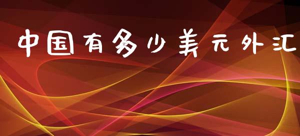 中国有多少美元外汇_https://m.jnlaobingbanjia.com_理财规划_第1张