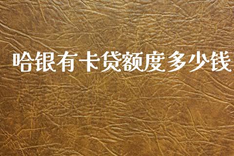 哈银有卡贷额度多少钱_https://m.jnlaobingbanjia.com_股市新闻_第1张