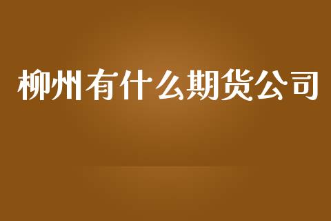 柳州有什么期货公司_https://m.jnlaobingbanjia.com_基金市场_第1张