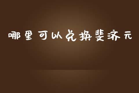 哪里可以兑换斐济元_https://m.jnlaobingbanjia.com_金融监管_第1张