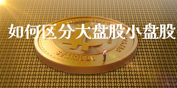 如何区分大盘股小盘股_https://m.jnlaobingbanjia.com_全球市场_第1张