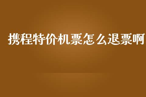 携程特价机票怎么退票啊_https://m.jnlaobingbanjia.com_全球市场_第1张