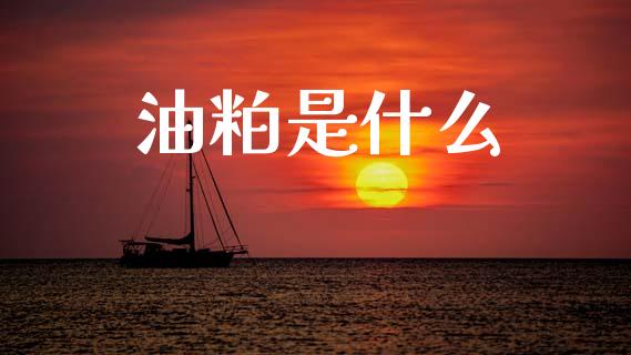油粕是什么_https://m.jnlaobingbanjia.com_区块链_第1张