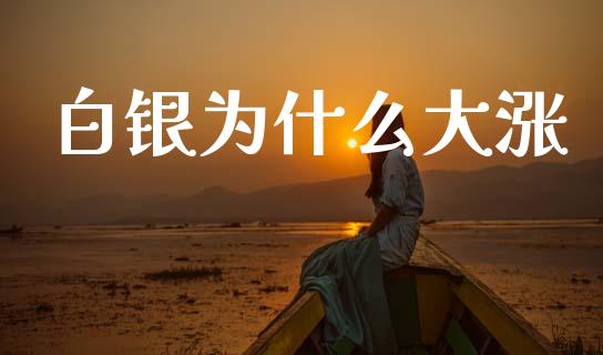 白银为什么大涨_https://m.jnlaobingbanjia.com_理财规划_第1张