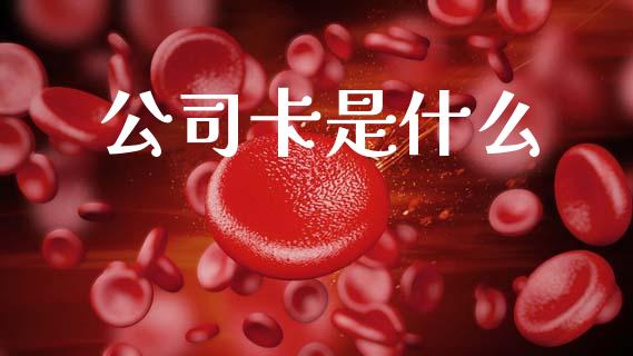 公司卡是什么_https://m.jnlaobingbanjia.com_股市新闻_第1张