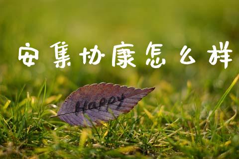 安集协康怎么样_https://m.jnlaobingbanjia.com_股市新闻_第1张