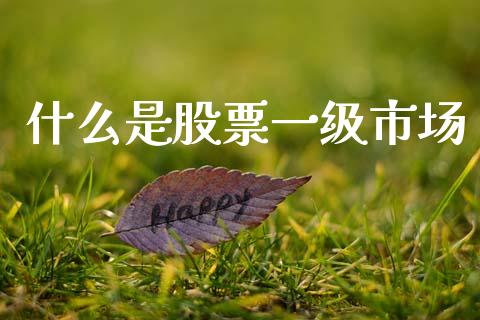 什么是股票一级市场_https://m.jnlaobingbanjia.com_基金市场_第1张