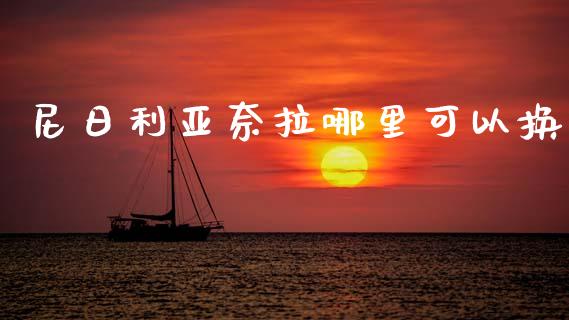 尼日利亚奈拉哪里可以换_https://m.jnlaobingbanjia.com_金融监管_第1张