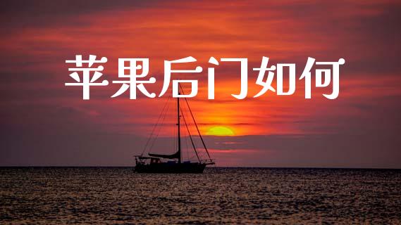 苹果后门如何_https://m.jnlaobingbanjia.com_金融监管_第1张
