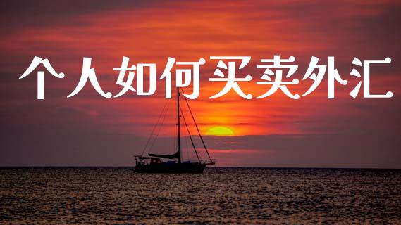 个人如何买卖外汇_https://m.jnlaobingbanjia.com_全球市场_第1张