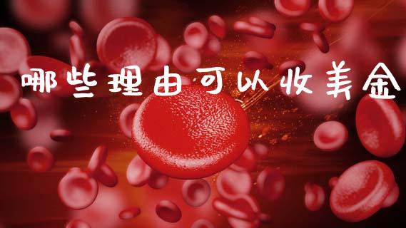 哪些理由可以收美金_https://m.jnlaobingbanjia.com_全球市场_第1张