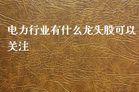 电力行业有什么龙头股可以关注_https://m.jnlaobingbanjia.com_金融监管_第1张