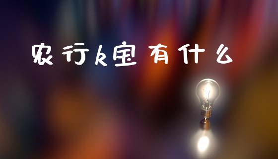 农行k宝有什么_https://m.jnlaobingbanjia.com_理财规划_第1张