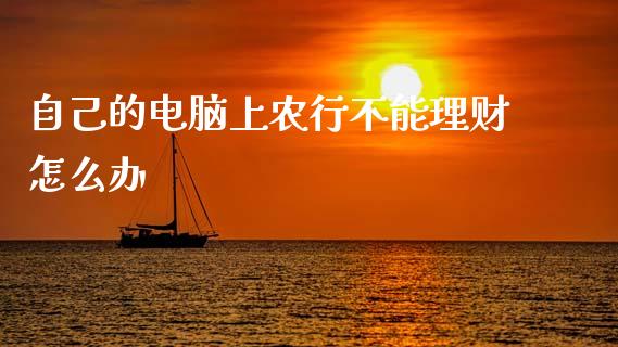 自己的电脑上农行不能理财怎么办_https://m.jnlaobingbanjia.com_股市新闻_第1张