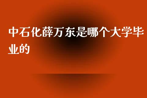 中石化薛万东是哪个大学毕业的_https://m.jnlaobingbanjia.com_基金市场_第1张