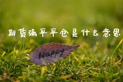 期货强平平仓是什么意思_https://m.jnlaobingbanjia.com_区块链_第1张