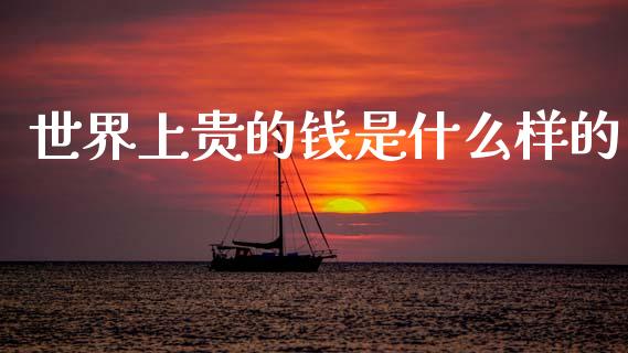 世界上贵的钱是什么样的_https://m.jnlaobingbanjia.com_全球市场_第1张