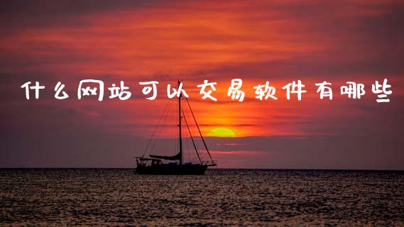 什么网站可以交易软件有哪些_https://m.jnlaobingbanjia.com_基金市场_第1张