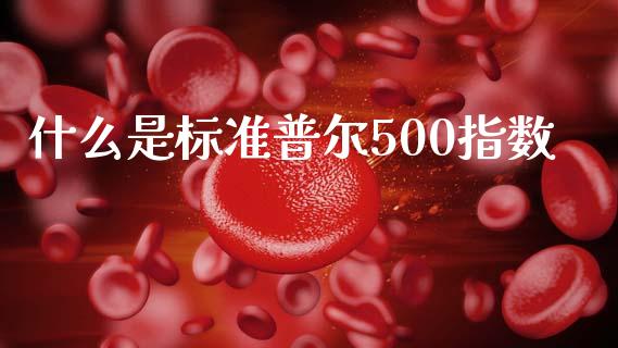 什么是标准普尔500指数_https://m.jnlaobingbanjia.com_基金市场_第1张