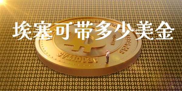 埃塞可带多少美金_https://m.jnlaobingbanjia.com_股市新闻_第1张