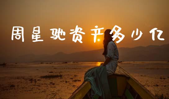 周星驰资产多少亿_https://m.jnlaobingbanjia.com_基金市场_第1张