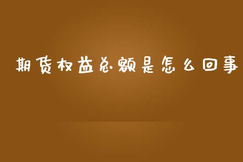 期货权益总额是怎么回事_https://m.jnlaobingbanjia.com_区块链_第1张
