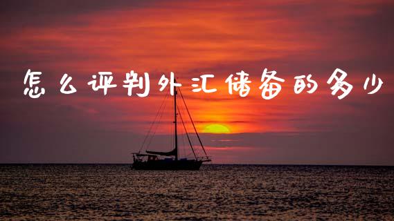 怎么评判外汇储备的多少_https://m.jnlaobingbanjia.com_金融监管_第1张