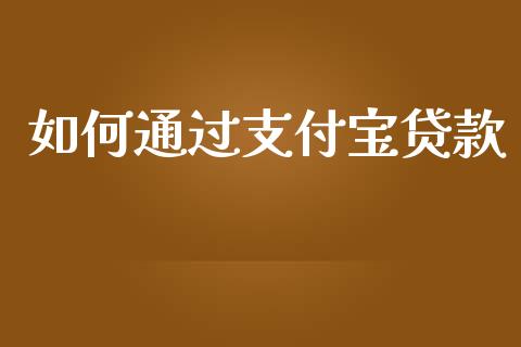 如何通过支付宝贷款_https://m.jnlaobingbanjia.com_金融监管_第1张