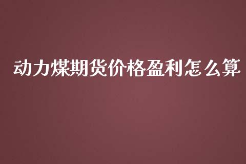 动力煤期货价格盈利怎么算_https://m.jnlaobingbanjia.com_金融监管_第1张