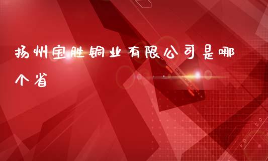 扬州宝胜铜业有限公司是哪个省_https://m.jnlaobingbanjia.com_金融监管_第1张