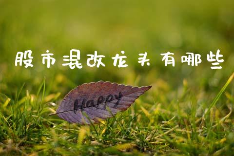 股市混改龙头有哪些_https://m.jnlaobingbanjia.com_全球市场_第1张