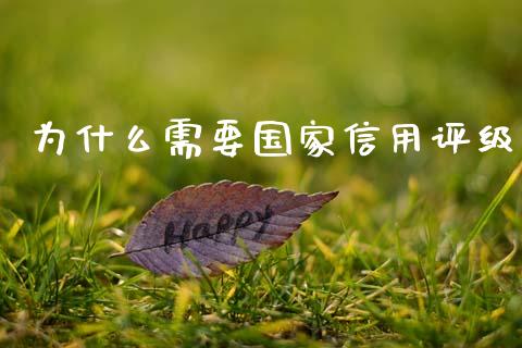 为什么需要国家信用评级_https://m.jnlaobingbanjia.com_区块链_第1张