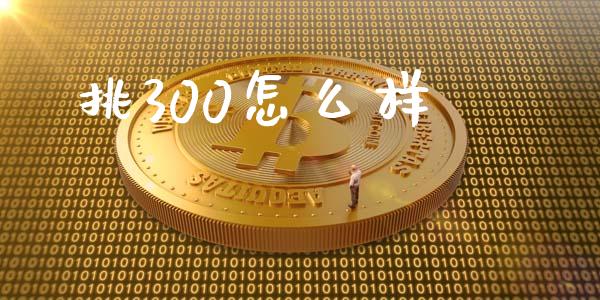 挑300怎么样_https://m.jnlaobingbanjia.com_全球市场_第1张