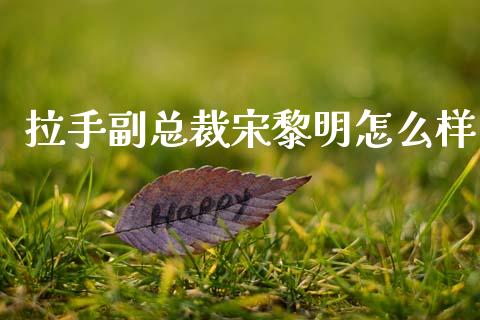拉手副总裁宋黎明怎么样_https://m.jnlaobingbanjia.com_理财规划_第1张