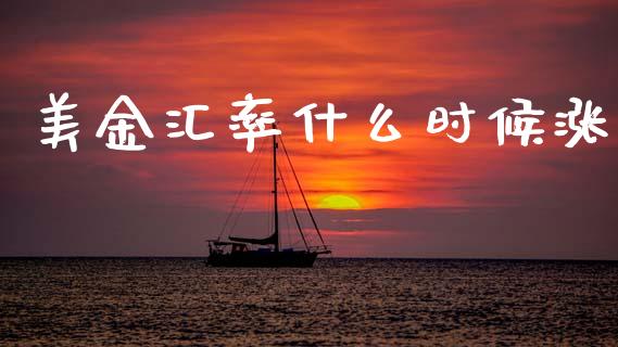 美金汇率什么时候涨_https://m.jnlaobingbanjia.com_金融监管_第1张