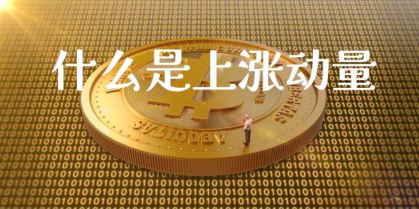 什么是上涨动量_https://m.jnlaobingbanjia.com_基金市场_第1张