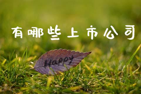 有哪些上市公司_https://m.jnlaobingbanjia.com_基金市场_第1张
