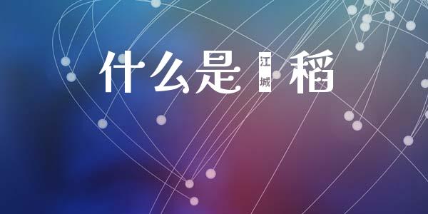 什么是籼稻_https://m.jnlaobingbanjia.com_理财规划_第1张