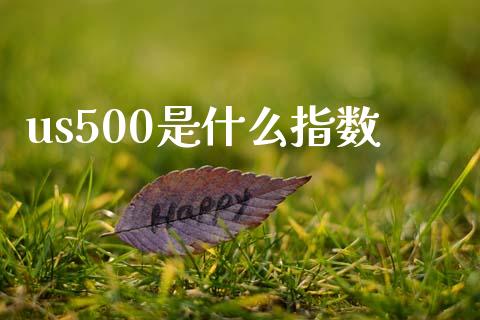 us500是什么指数_https://m.jnlaobingbanjia.com_金融监管_第1张
