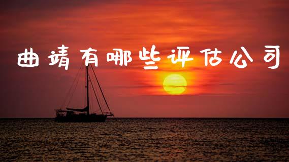 曲靖有哪些评估公司_https://m.jnlaobingbanjia.com_金融监管_第1张